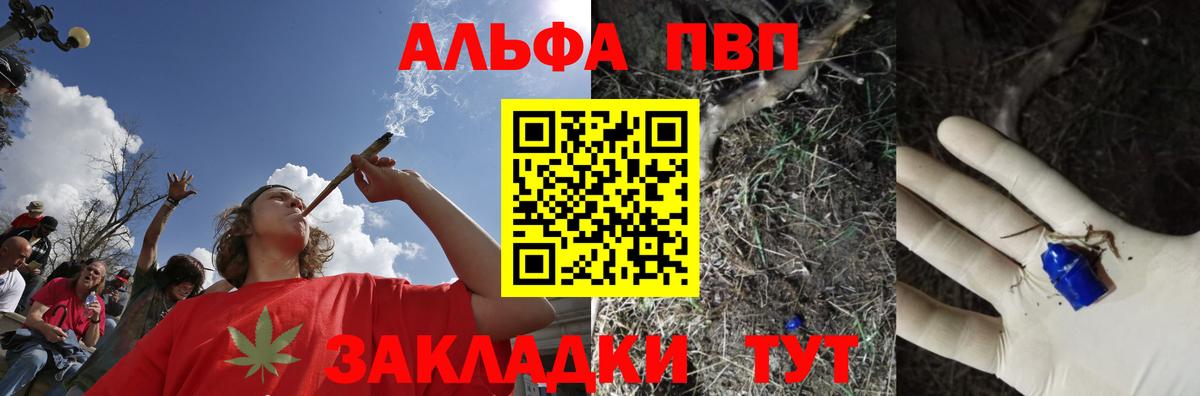 A-PVP СК Сегежа