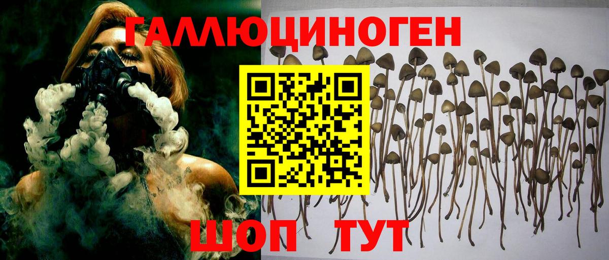 Псилоцибиновые грибы MAGIC MUSHROOMS Сегежа